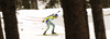 Fredrik Lindstroem of Sweden skiing during the Men sprint race of IBU Biathlon World Cup in Pokljuka, Slovenia. Men sprint race of IBU Biathlon World cup was held on Thursday, 17th of December 2015 in Pokljuka, Slovenia.
