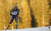 Anais Bescond of France skiing in the Women sprint race of IBU Biathlon World Cup in Pokljuka, Slovenia. Women sprint race of IBU Biathlon World cup was held on Friday, 18th of December 2015 in Pokljuka, Slovenia.
