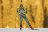 Linn Persson of Sweden skiing in the Women sprint race of IBU Biathlon World Cup in Pokljuka, Slovenia. Women sprint race of IBU Biathlon World cup was held on Friday, 18th of December 2015 in Pokljuka, Slovenia.
