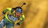 Linn Persson of Sweden skiing in the Women sprint race of IBU Biathlon World Cup in Pokljuka, Slovenia. Women sprint race of IBU Biathlon World cup was held on Friday, 18th of December 2015 in Pokljuka, Slovenia.
