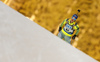Mona Brorsson of Sweden skiing in the Women sprint race of IBU Biathlon World Cup in Pokljuka, Slovenia. Women sprint race of IBU Biathlon World cup was held on Friday, 18th of December 2015 in Pokljuka, Slovenia.
