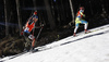 Erik Lesser of Germany (L) and Klemen Bauer of Slovenia (R) skiing in the Men pursuit race of IBU Biathlon World Cup in Pokljuka, Slovenia. Men pursuit race of IBU Biathlon World cup was held on Saturday, 19th of December 2015 in Pokljuka, Slovenia.
