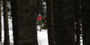 Simon Schempp of Germany skiing in the Men pursuit race of IBU Biathlon World Cup in Pokljuka, Slovenia. Men pursuit race of IBU Biathlon World cup was held on Saturday, 19th of December 2015 in Pokljuka, Slovenia.
