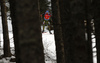 Simon Schempp of Germany skiing in the Men pursuit race of IBU Biathlon World Cup in Pokljuka, Slovenia. Men pursuit race of IBU Biathlon World cup was held on Saturday, 19th of December 2015 in Pokljuka, Slovenia.
