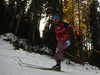 Anton Shipulin of Russia skiing in the Men mass start race of IBU Biathlon World Cup in Pokljuka, Slovenia. Men mass start race of IBU Biathlon World cup was held on Sunday, 20th of December 2015 in Pokljuka, Slovenia.
