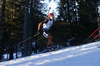 Franziska Hildebrand of Germany skiing in the Women mass start race of IBU Biathlon World Cup in Pokljuka, Slovenia. Women mass start race of IBU Biathlon World cup was held on Sunday, 20th of December 2015 in Pokljuka, Slovenia.
