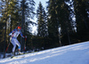 Winner Kaisa Makarainen of Finland skiing in the Women mass start race of IBU Biathlon World Cup in Pokljuka, Slovenia. Women mass start race of IBU Biathlon World cup was held on Sunday, 20th of December 2015 in Pokljuka, Slovenia.

