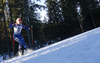 Eva Puskarcikova of Czech skiing in the Women mass start race of IBU Biathlon World Cup in Pokljuka, Slovenia. Women mass start race of IBU Biathlon World cup was held on Sunday, 20th of December 2015 in Pokljuka, Slovenia.

