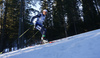 Dorothea Wierer of Italy skiing in the Women mass start race of IBU Biathlon World Cup in Pokljuka, Slovenia. Women mass start race of IBU Biathlon World cup was held on Sunday, 20th of December 2015 in Pokljuka, Slovenia.
