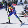 Martin Fourcade of France during men pursuit race of IBU Biathlon World Cup in Presque Isle, Maine, USA. Men pursuit race of IBU Biathlon World cup was held in Presque Isle, Maine, USA, on Friday, 12th of February 2016.
