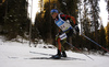 Erik Lesser of Germany during the men relay race of IBU Biathlon World Cup in Pokljuka, Slovenia.  Men relay race of IBU Biathlon World cup was held in Pokljuka, Slovenia, on Sunday, 11th of December 2016.
