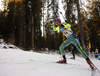 Torstein Stenersen of Sweden during the men relay race of IBU Biathlon World Cup in Pokljuka, Slovenia.  Men relay race of IBU Biathlon World cup was held in Pokljuka, Slovenia, on Sunday, 11th of December 2016.
