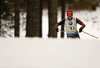 Franziska Hildebrand of Germany during the women relay race of IBU Biathlon World Cup in Pokljuka, Slovenia.  Women relay race of IBU Biathlon World cup was held in Pokljuka, Slovenia, on Sunday, 11th of December 2016.
