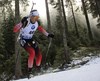 Tarjei Boe of Norway competes during the men individual race of IBU Biathlon World Cup in Pokljuka, Slovenia. Men 20km individual race of IBU Biathlon World cup 2018-2019 was held in Pokljuka, Slovenia, on Thursday, 6th of December 2018.
