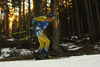 Martin Ponsiluoma of Sweden competes during the men sprint race of IBU Biathlon World Cup in Pokljuka, Slovenia. Men sprint race of IBU Biathlon World cup 2018-2019 was held in Pokljuka, Slovenia, on Friday, 7th of December 2018.
