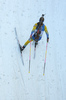 Anna Magnusson of Sweden competes during the women sprint race of IBU Biathlon World Cup in Pokljuka, Slovenia. Women sprint race of IBU Biathlon World cup 2018-2019 was held in Pokljuka, Slovenia, on Saturday, 8th of December 2018.
