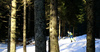 Anton Vidmar of Slovenia competes during the Men Sprint race of BMW IBU Biathlon World cup in Pokljuka, Slovenia. Men Sprint race of BMW IBU Biathlon World cup was held in Pokljuka, Slovenia, on Friday 6th of January 2023.