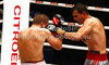 Denis Simcic of Slovenia and Istvan Varga of Romunia during WBF International boxing match. WBF International boxing match between Simcic and Varga was held on 4th of September 2010 in Stozice Arena in Ljubljana, Slovenia.
