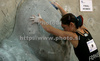 Caroline Ciavaldini of France climbing during women finals of last IFSC Sport Climbing World cup of 2009 season. Final race of IFSC Sport Climbing World Cup of 2009 season was held in Kranj, Slovenia on 15th of November 2009. 
