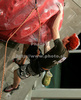 Gauthier Supper of France climbing during men finals of last IFSC Sport Climbing World cup of 2009 season. Final race of IFSC Sport Climbing World Cup of 2009 season was held in Kranj, Slovenia on 15th of November 2009. 
