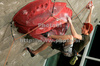 Gauthier Supper of France climbing during men finals of last IFSC Sport Climbing World cup of 2009 season. Final race of IFSC Sport Climbing World Cup of 2009 season was held in Kranj, Slovenia on 15th of November 2009. 
