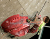 Winner Adam Ondra of Czech climbing during men finals of last IFSC Sport Climbing World cup of 2009 season. Final race of IFSC Sport Climbing World Cup of 2009 season was held in Kranj, Slovenia on 15th of November 2009. 
