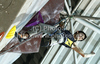Ramon Julian Puigblanque of Spain during men finals of last IFSC Sport Climbing World cup of 2010 season. Final race of IFSC Sport Climbing World Cup of 2010 season was held in Kranj, Slovenia on 14th of November 2010.
