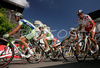 Cyclists riding during 41st Grand Prix Kranj, Filip Majcen Memorial cycle race. 41st Grand Prix Kranj was held in Kranj, Slovenia, on 31st of May 2008.

