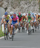 Simon Spilak of Slovenia (Lampre) and behind him peloton at Crni Kal (GC II. category) in the 2nd stage from Piran to Koper (179 km) of the 15th Tour de Slovenie. The race was held on 12th of June, 2008.
