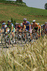 In the first line: Tadej Valjavec (AG2R La Mondial) and Gorazd Stangelj (Team Liquigas) at national championship of Slovenia, which was held in Mirna Pec. Race was 178,5 km long and it was held on 29th of June, 2008.
