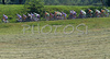 Peloton at national championship of Slovenia, which was held in Mirna Pec. Race was 178,5 km long and it was held on 29th of June, 2008.
