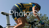 Emma Johansson of Sweden riding during Women elite time trial race of UCI Road Cycling World Championships in Varese, Italy. Women elite time trial of UCI Road cycling World Championships was held in Varese, Italy, on Wednesday 24th of September 2008.
