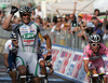 Winner Alessandro Petacchi of Italy (LPR Brakes - Farnese Vini) (L) and Mark Cavendish of Great Britain (Team Columbia Highroad) (R) in the finish sprint during second stage of 92nd Giro d Italia. Second stage of 92nd Giro d Italia in length of 156km was held on 10th of May 2009, and was leading riders from Venezia, Italy, to Trieste, Italy.
