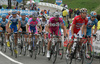 Alessandro Petacchi of Italy (LPR Brakes - Farnese Vini) in last uphill during fifth stage of 92nd Giro d Italia. Fifth stage of 92nd Giro d Italia in length of 125km was held on 13th of May 2009, and was leading riders from San Martino di Castrozza, Italy to Alpe di Siusi, Italy.
