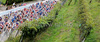 Cyclists riding during Men U23 UCI Road cycling World Championships road race in Mendrisio, Switzerland. 179.4km long Men U23 road race was held in Mendrisio, Switzerland, on 26th of September 2009.
