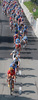 Cyclists riding during Men Elite UCI Road cycling World Championships road race in Mendrisio, Switzerland. 262.2km long Men Elite road race was held in Mendrisio, Switzerland, on 27th of September 2009.
