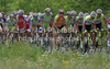 Peloton riding at the race for 43. Grand prix Kranj - Memorial of Filip Majcen. The race was 177,3 km long and it was held on 29th of May, 2010 in Kranj, Slovenija.

