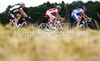 Alfredo Balloni of Lampre-NGC leading peloton during third stage of Tour de Slovenie 2010. Third stage of 17th Tour de Slovenie 2010 in length of 171km was leading cyclists from Bled, Slovenia, to Krvavec, Slovenia. Third stage was held on Saturday, 19th of June 2010.

