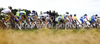 Cyclists passing by wheat field during third stage of Tour de Slovenie 2010. Third stage of 17th Tour de Slovenie 2010 in length of 171km was leading cyclists from Bled, Slovenia, to Krvavec, Slovenia. Third stage was held on Saturday, 19th of June 2010.
