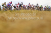 Cyclists passing by wheat field during third stage of Tour de Slovenie 2010. Third stage of 17th Tour de Slovenie 2010 in length of 171km was leading cyclists from Bled, Slovenia, to Krvavec, Slovenia. Third stage was held on Saturday, 19th of June 2010.
