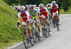 Cyclist of Adria-Mobil leading peloton during fourh and last stage of Tour de Slovenie 2010. Fourth stage of 17th Tour de Slovenie 2010 in length of 157km was leading cyclists from Brezice, Slovenia, to Novo Mesto, Slovenia. Fourth stage was held on Sunday, 20th of June 2010.
