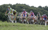 In front of the peloton Vincenzo Nibali of Italy (Team Liquigas-Cannondale) riding during the third stage of Tour de Slovenie 2011. The third stage from Trzic to Golte was 170,6 km long and it was held on Saturday, 18th of June, 2011 in Slovenia.
