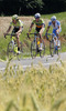 Diego Caccia of Italy (Farnese Vini Neri Sottoli), Jure Bitenc of Slovenia (Sava) and Andrea Pasqualon of Italy (Colnago CSF Inox) riding during the second stage of Tour de Slovenie 2012. The second stage from Kocevje to Metlika was 177,4 km long and it was held on Friday, 15th of June, 2012 in Slovenia.
