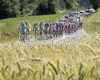 Peloton riding during the second stage of Tour de Slovenie 2012. The second stage from Kocevje to Metlika was 177,4 km long and it was held on Friday, 15th of June, 2012 in Slovenia.
