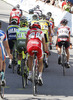 Peloton cycling during the second stage of Tour de Slovenie 2013. The second stage from Kocevje to Visnja Gora was 171,3 km long and it was held on Friday, 14th of June, 2013 in Slovenia.
