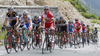 Peloton climbing at hill Sorica at the third stage of Tour de Slovenie 2013. The third stage from Skofja Loka to Vrsic was 170 km long and it was held on Saturday, 15th of June, 2013 in Slovenia.
