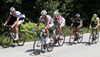 Tim De Clercq of Belgium (Team Topsport Vlaanderen), Matteo Di Serafino of Italy (Team Androni â€“ Giocattoli), Pavel Kochetkov of Russia (Team RusVelo), Galindo Michael Rodriguez of Colombia (Team Colombia Coldeportes) and Mauro Finetto of Italy (Team Vini Fantini - Selle Italia) cycling during the fourth stage of Tour de Slovenie 2013. The fourth stage from Brezice to Novo mesto was 155,8 km long and it was held on Sunday, 16th of June, 2013 in Slovenia.
