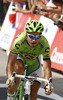 Peter Sagan of Slovakia (Team Cannondale) finishing the third stage of 100th Tour de France 2013. The third stage from Ajaccio to Calvi was 145,5 km long and it was held on Monday, 1st of July, 2013 in Corsica, France.
