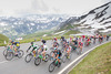 Peloton during the 65 th Tour of Austria, Stage 4, from Matrei in Osttirol to St. Johann Alpendorf, Grossglockner Hochalpenstrasse, Austria on 2013/07/03.
