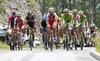 Leading group at GC Strma reber during the second stage of the Tour de Slovenie 2014. Second stage of the Tour de Slovenie from Ribnica to Kocevje was 160,7 km long and it was held on Friday, 20th of June, 2014 in Slovenija.
